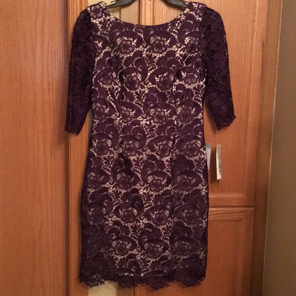 Eliza J Dresses & Skirts - Eliza J  lace shift dress in eggplant color